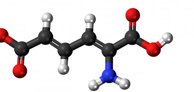 ما معنى التمثيل الغذائي