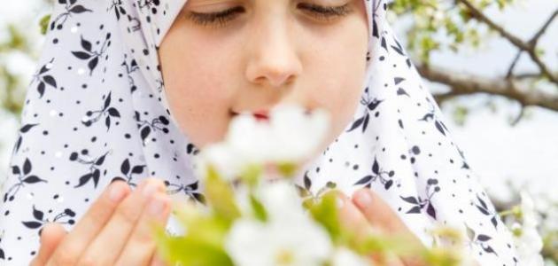 ما معنى الهداية ما معنى الهداية