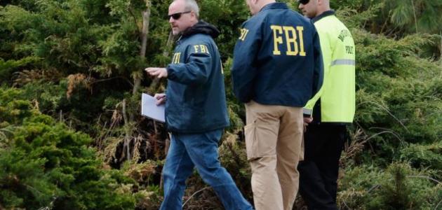 ما معنى فدرالي ما معنى فدرالي