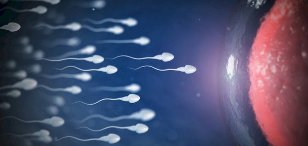 ما معنى نطفة ما معنى نطفة