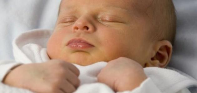 ما هو أبو صفار ما هو أبو صفار