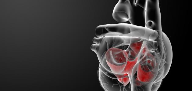 ما هو الأبهر وما هو علاجه ما هو الأبهر وما هو علاجه