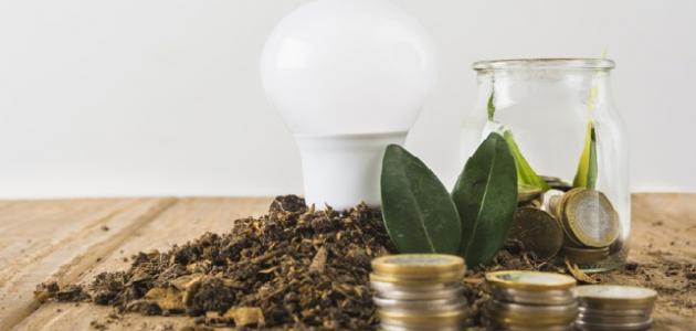 ما هو الاقتصاد الأخضر ما هو الاقتصاد الأخضر