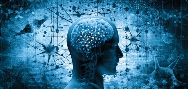 ما هو التفكير العلمي ما هو التفكير العلمي