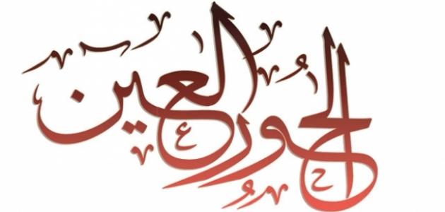 ما هو الحور العين ما هو الحور العين