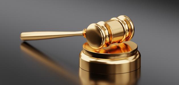 ما هو الدستور ما هو الدستور