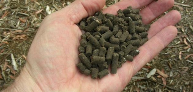 ما هو السماد العضوي ما هو السماد العضوي