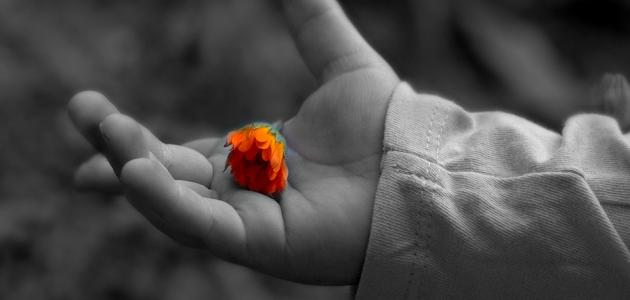 ما هو العفو والتسامح