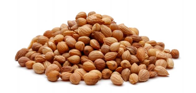 ما هو المحلب وما هي فوائده ما هو المحلب وما هي فوائده