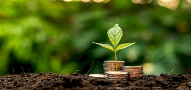 ما هو الوقف في الاسلام ما هو الوقف في الاسلام