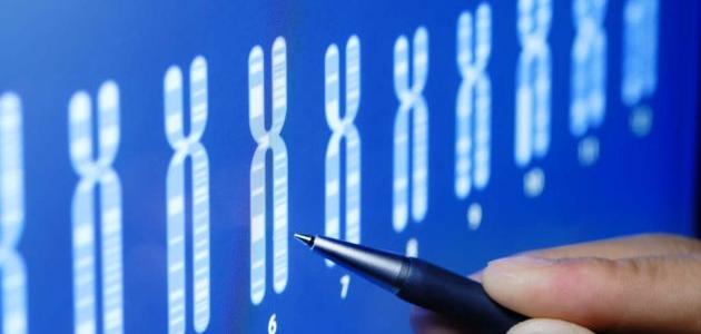 ما هو تحليل الكروموسومات ما هو تحليل الكروموسومات