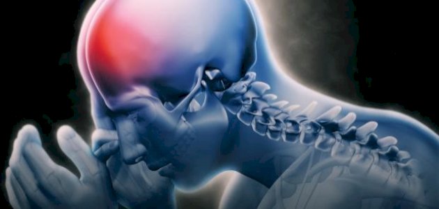 ما هو جنون البقر ما هو جنون البقر