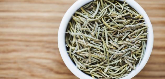 ما هو حصى البان ما هو حصى البان