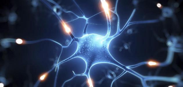 ما هو ضعف الأعصاب