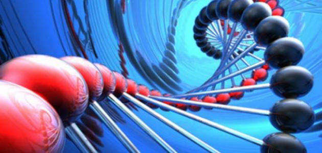 ما هو ضمور الدماغ ما هو ضمور الدماغ