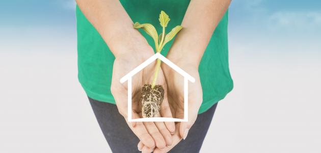 ما هو علم البيئة