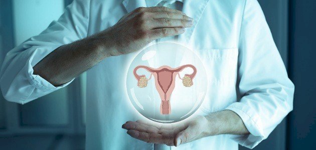 ما هو عنق الرحم