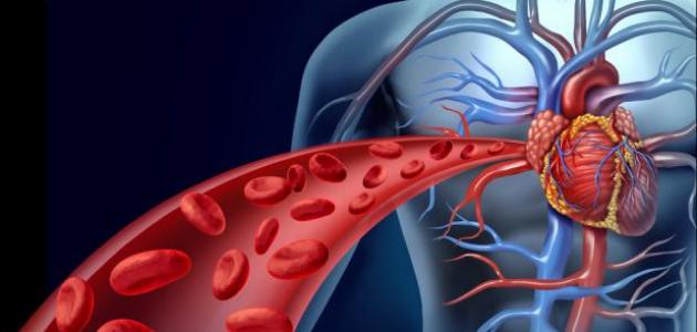 ما هو قصور الشريان التاجي ما هو قصور الشريان التاجي