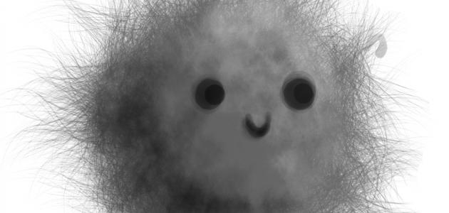 ما هو كيس الشعر