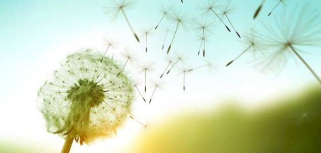 ما هو مصدر الرياح