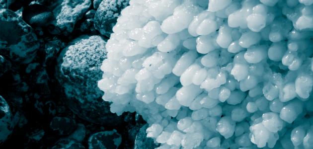 ما هو ملح البحر ما هو ملح البحر