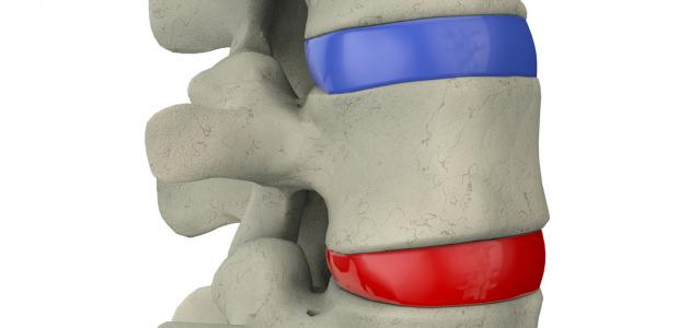 ما هو نخاع العظم ما هو نخاع العظم