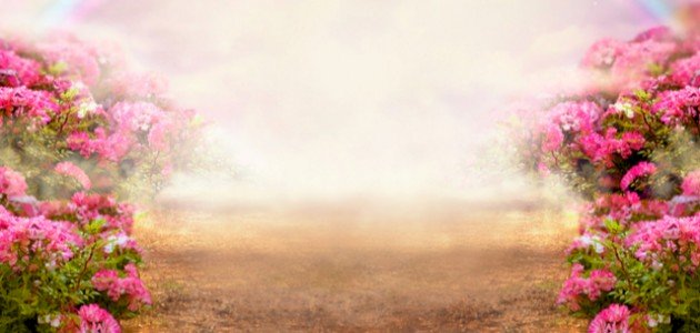 ما هو نعيم الجنة