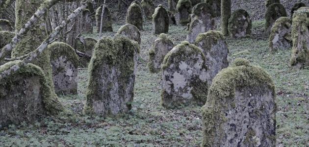 ما هو نعيم القبر وعذابه ما هو نعيم القبر وعذابه