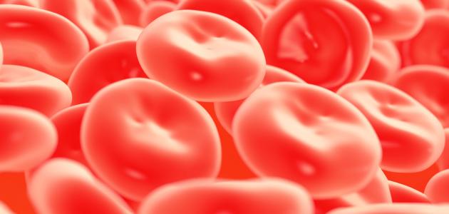 ما هو نقص الصفائح الدموية ما هو نقص الصفائح الدموية