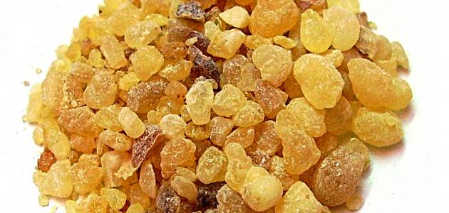 ما هي أضرار لبان الذكر