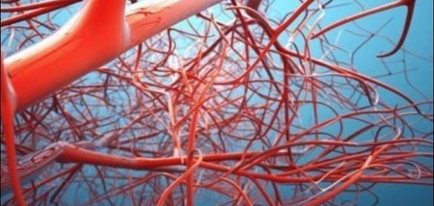 ما هي أعراض ضعف الأعصاب