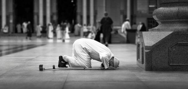 ما هي أفضل الأعمال في يوم عرفة ما هي أفضل الأعمال في يوم عرفة