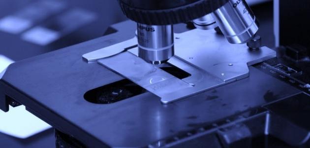 ما هي أنواع المجاهر وما استخداماتها