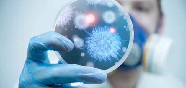 ما هي الأمراض التي تسببها البكتيريا ما هي الأمراض التي تسببها البكتيريا