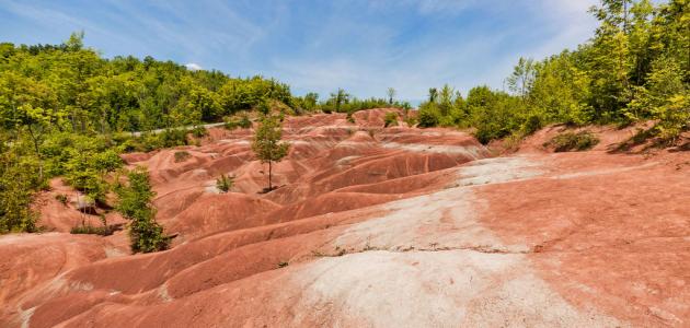 ما هي التربة؟ ما هي التربة؟