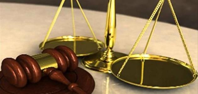 ما هي الحقوق السياسية