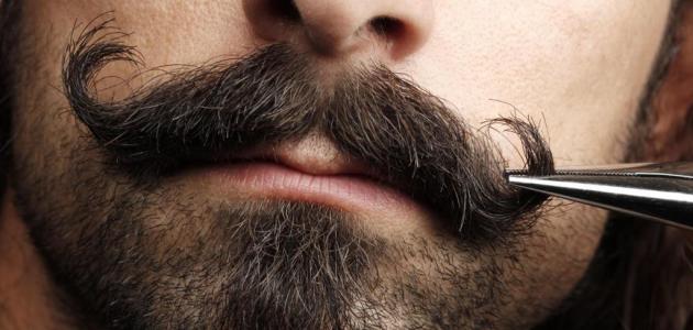 ما هي الرجولة ما هي الرجولة