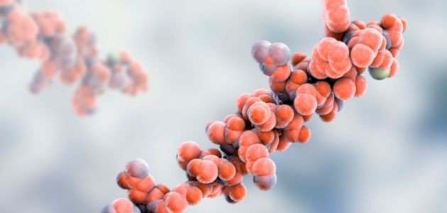 ما هي الهرمونات