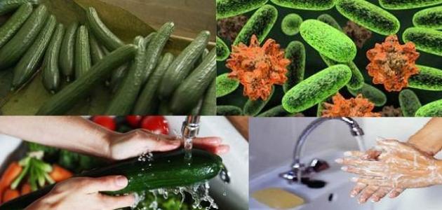 ما هي بكتيريا إي كولاي ما هي بكتيريا إي كولاي