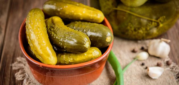 ما هي بكتيريا المخللات؟ ما هي بكتيريا المخللات؟