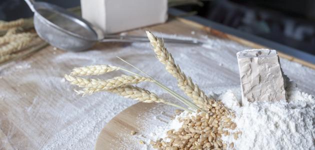 ما هي حبوب الخميرة ما هي حبوب الخميرة