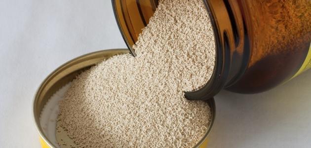 ما هي خميرة البيرة