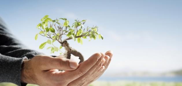 ما هي شروط الزكاة