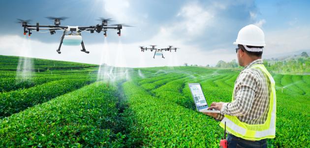 ما هي طرق الزراعة الحديثة