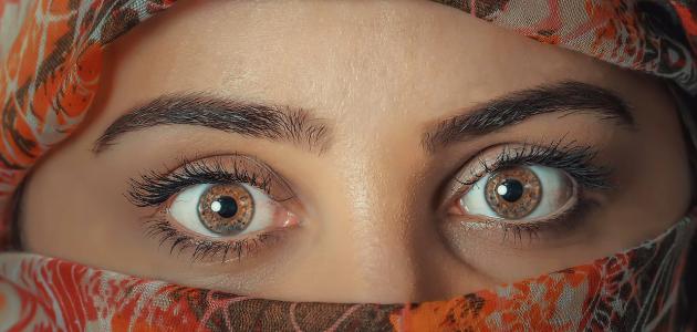 ما هي علامات الجمال للأنثى ما هي علامات الجمال للأنثى