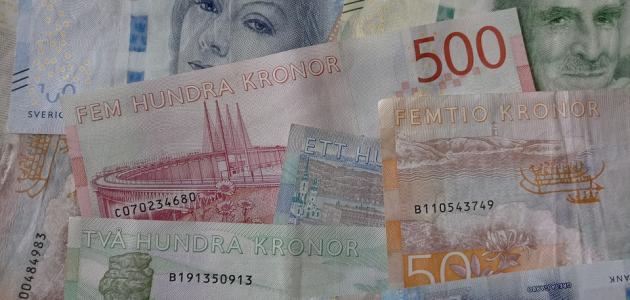 ما هي عملة سويد ما هي عملة سويد