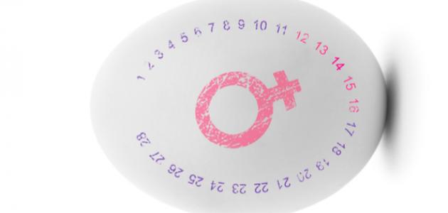 ما هي فترة الخصوبة ما هي فترة الخصوبة