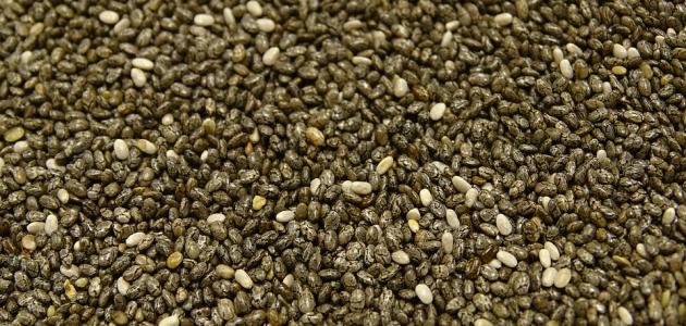 ما هي فوائد بذور الشيا