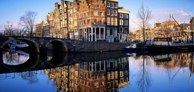 ما هي لغة هولندا