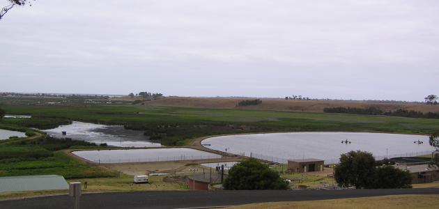 ما هي مراحل معالجة المياه الصالحة للشرب ما هي مراحل معالجة المياه الصالحة للشرب